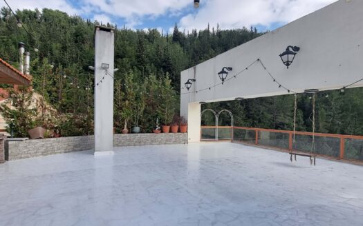 Duplex and Terrace Adma For Sale