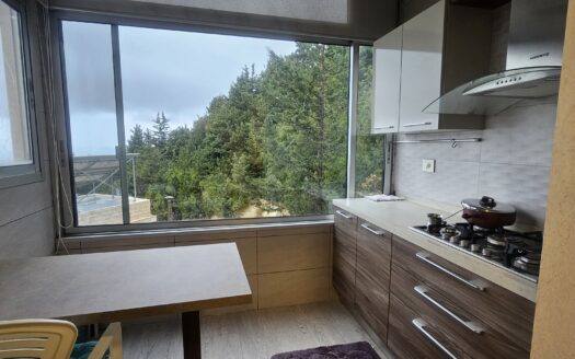 Property Kfour Rent view Furnished