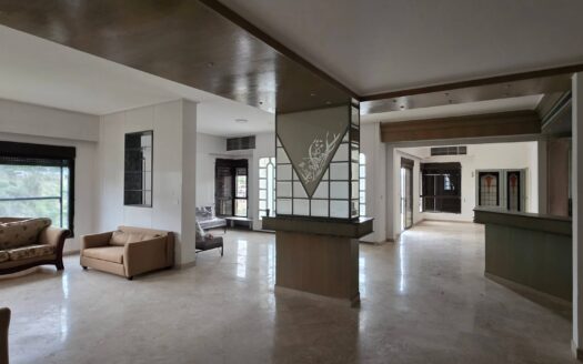 Huge Apartment Adma Need Renovation Sale