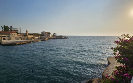 Chalet Tabarja Saint Paul For Sale