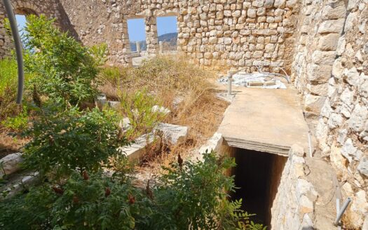History Castle For Sale in Kesrwan