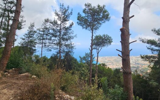 Land For Sale Maeraab Amazing View