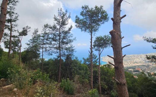 Land For Sale Maeraab Amazing View