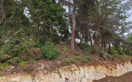 Land For Sale Maeraab Amazing View