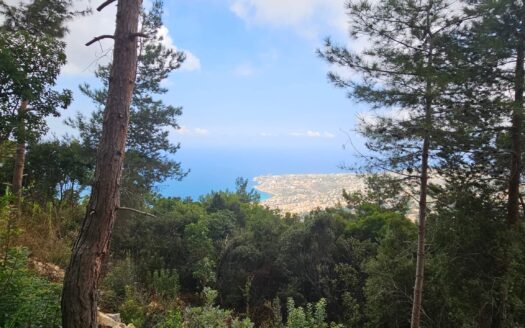 Land For Sale Maeraab Amazing View