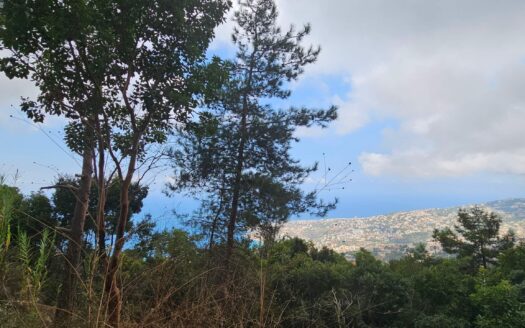 Land For Sale Maeraab Amazing View