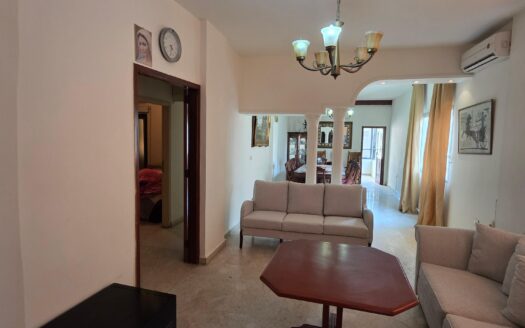 Apartment For Rent Furnished Adonis