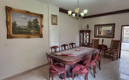 Apartment For Rent Furnished Adonis