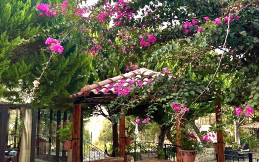 Jebayl Jlaise Quest House Rent Daily