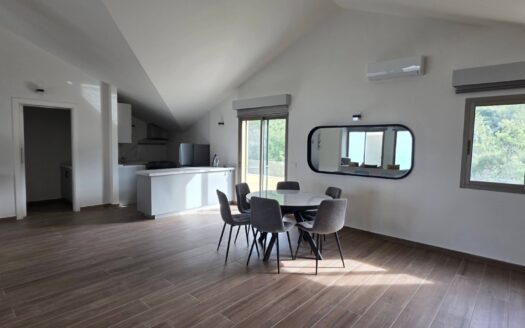 Apartment For Rent Ain Saadeh Maten