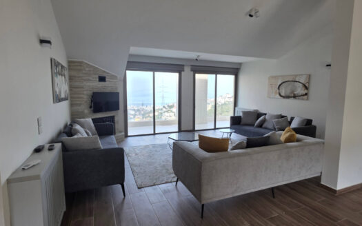 Apartment For Rent Ain Saadeh Maten