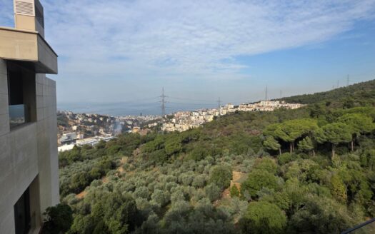 Duplex For Sale Ain Saadeh Maten