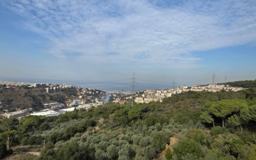 Duplex For Sale Ain Saadeh Maten