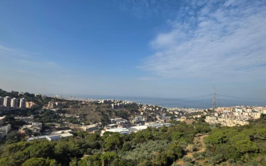 Huge Duplex For Sale Ain Saadeh Maten