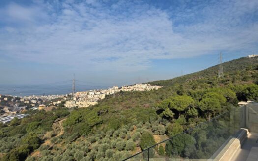 Huge Duplex For Sale Ain Saadeh Maten