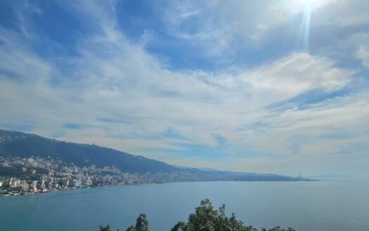 Modern Design Villa For Sale Tabarja