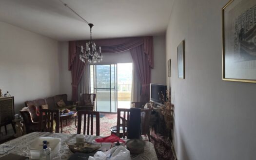 Ballouneh Stoney Huge Apartment Sale
