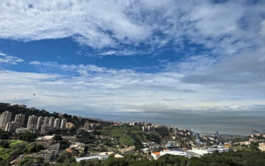 Apartment For Rent Ain Saadeh Maten