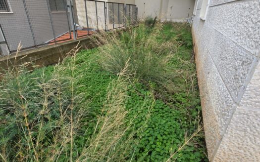 Apartment Ain Saadeh Rent New Building