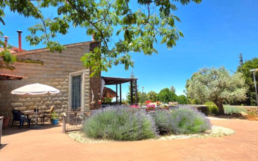 Alaay Bhamdoun Villa For Rent