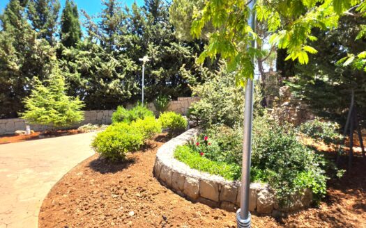 Alaay Bhamdoun Villa For Rent