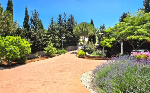 Alaay Bhamdoun Mansourieh Villa Sale
