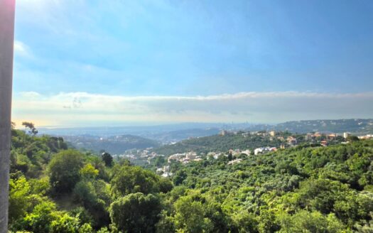 Alaay Bhamdoun Family Villa For Sale