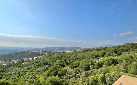 Alaay Bhamdoun Family Villa For Sale