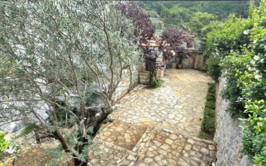 Dlebta Villa For Rent Furnished